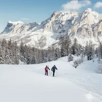 Ski touring from San Cassiano to Pralongià