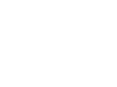 Blizzard