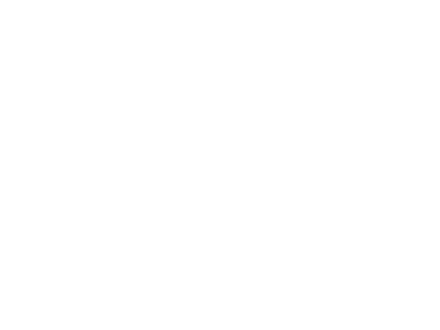 Logo Nordica