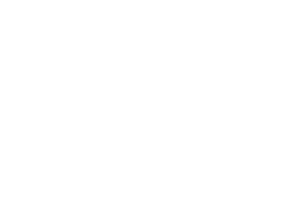 Stöckli Skis