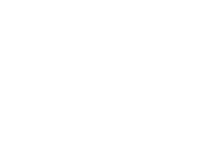 Logo Tecnica