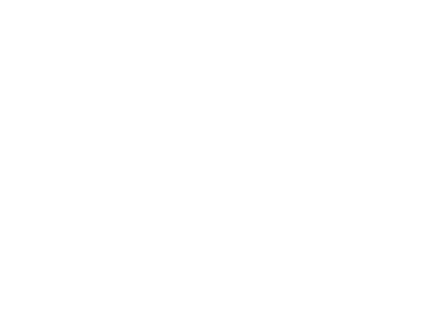 Völkl Skis